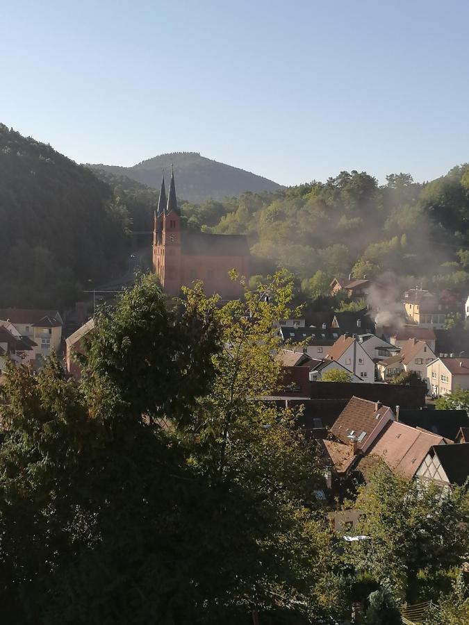 Hotel Am Hirschhorn - Wellness - Spa - And More Wilgartswiesen Esterno foto