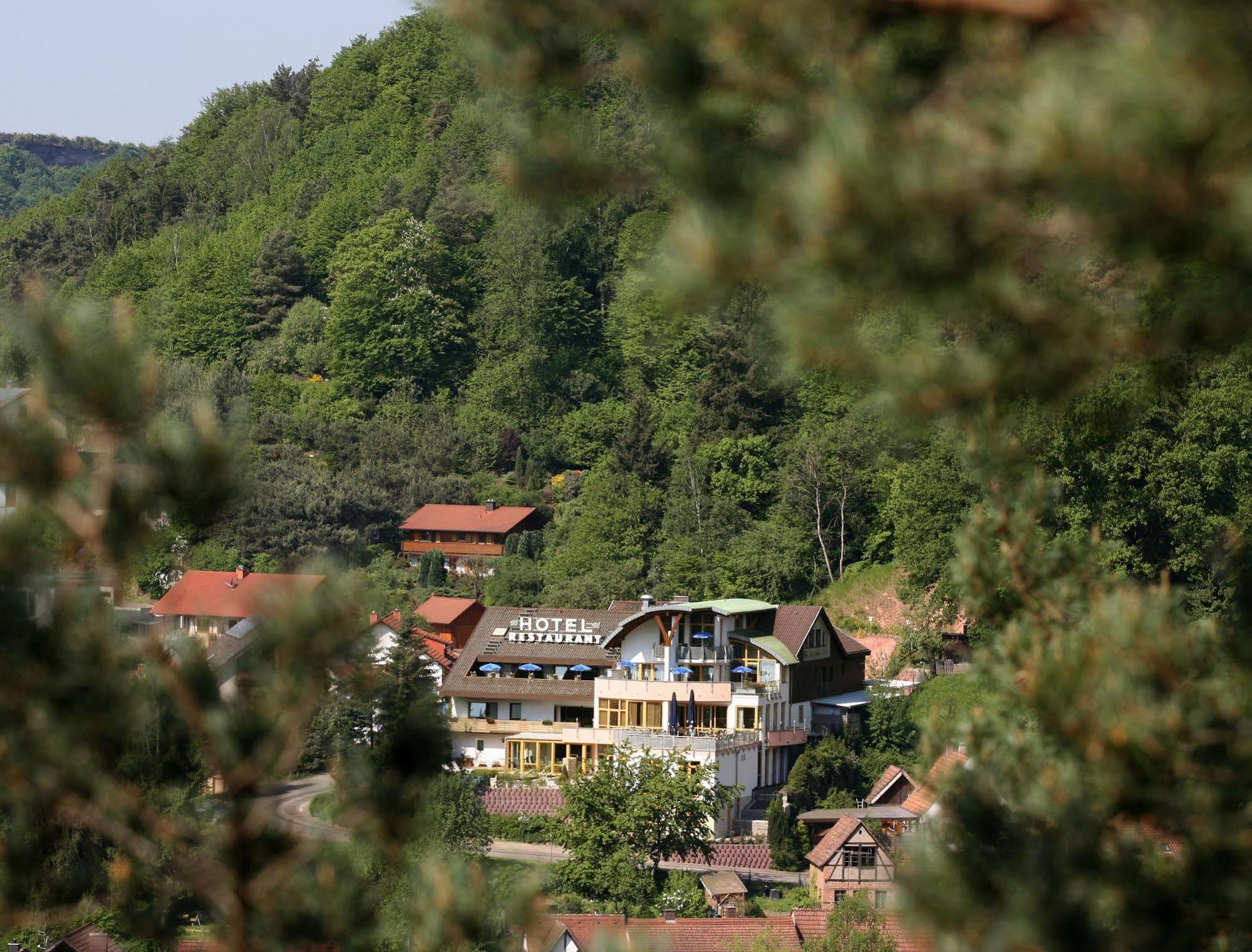Hotel Am Hirschhorn - Wellness - Spa - And More Wilgartswiesen Esterno foto